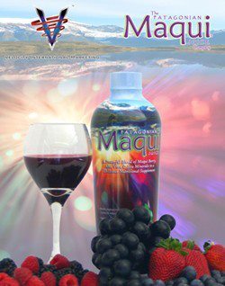 Maqui Berry (น้ำผลไม้ที่มีสารต้าน อนุมูลอิสระมากที่สุดในโลก)
